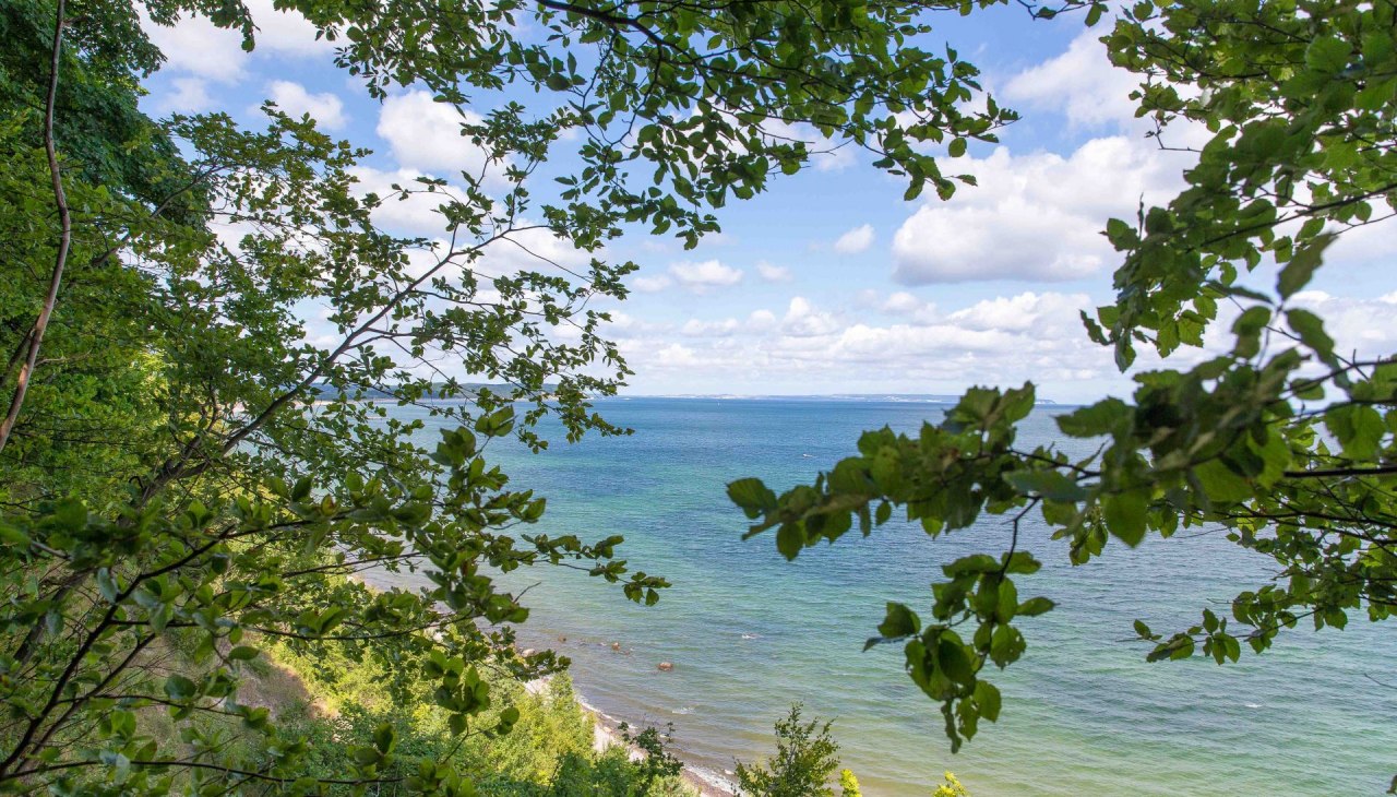 Wycieczka do Goehrener Nordperd (c) Biuro Turystyczne Goehren Martin Stoever _2015_62P6780, &copy; Kurverwaltung Goehren / Martin Stoever