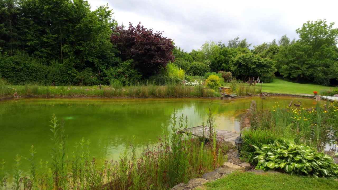 Bij de vijver, &copy; Monika Behnke