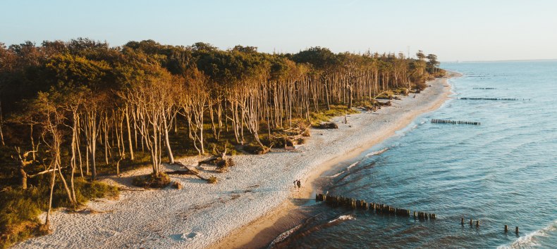 Kurbyen Graal-M&uuml;ritz ved &Oslash;sters&oslash;en ligger smukt indrammet mellem vidtstrakte sandstrande, kilometerlange kystskove og Rostocker Heide. // &copy; MV-T/Friedrich