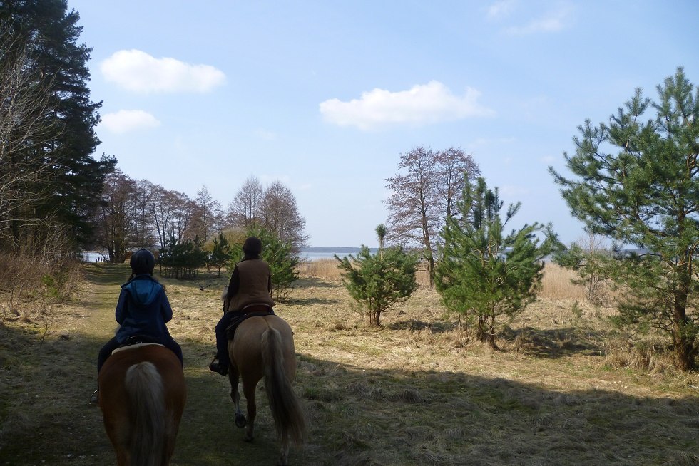 Rechtstreeks vanaf de Fennhof te paard door het prachtige landschap van de Riether Winkel, © Fennhof/Steinhof