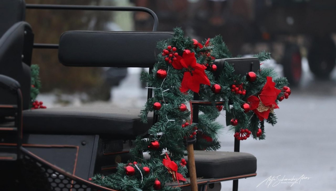 2023-12-12 07-12-39, © Adom Fotografie 2023-12-12 07-12-39, © Adom Fotografie