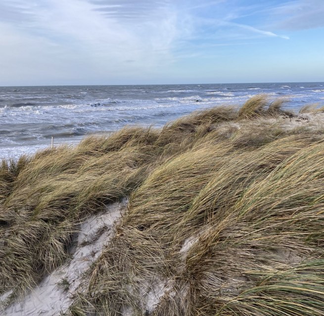 &copy; Nationalparkamt Vorpommern