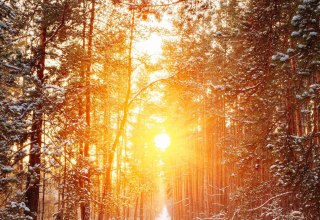 © Yvonne Schiwik © Yvonne Schiwik