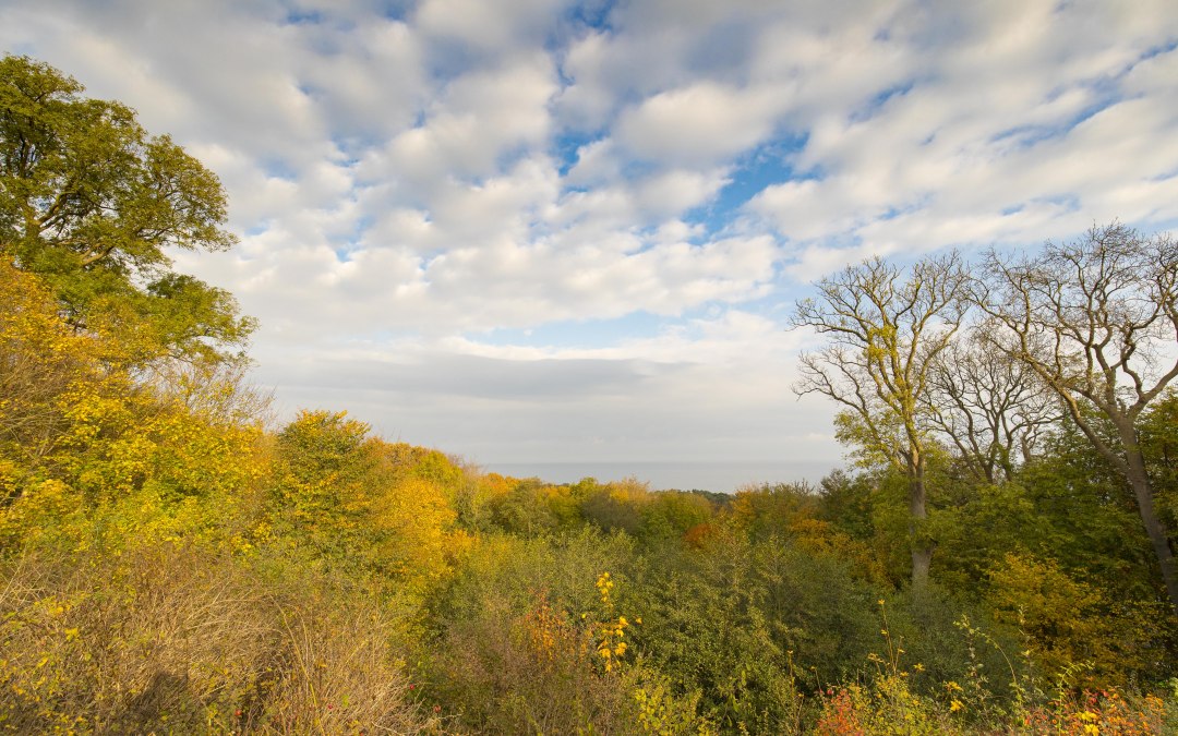 Ontspannen herfstwandeling (c) Goehren Martin Stoever 2016 _P5I5205, © Kurverwaltung Goehren / Martin Stoever