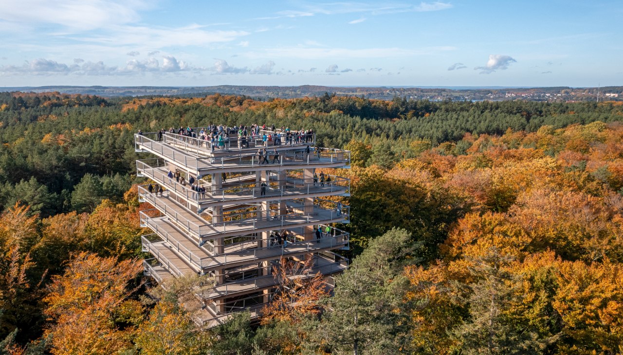BWP-US_015_Luftaufnahme_Turm_Herbst@eak, © Erlebnis Akademie AG/Baumwipfelpfad Usedom