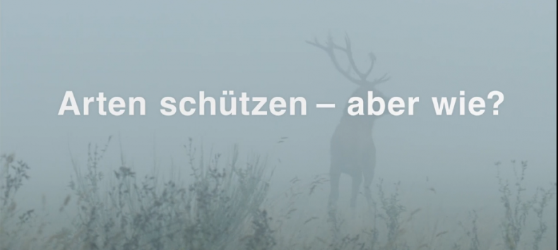 &copy; Laengengrad Filmproduktion
