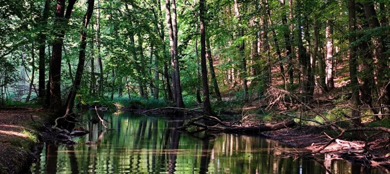 &copy; Britta Daedelow-Seydl