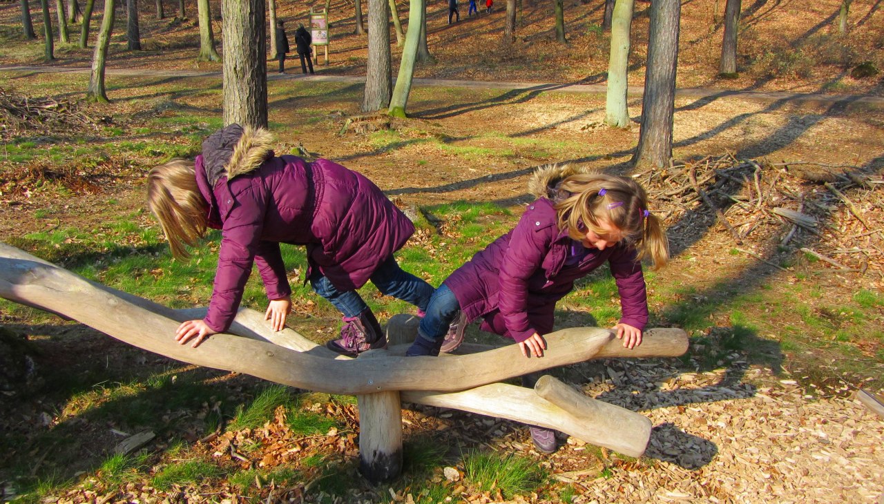 Element zabawy na leśnym szlaku przygodowym