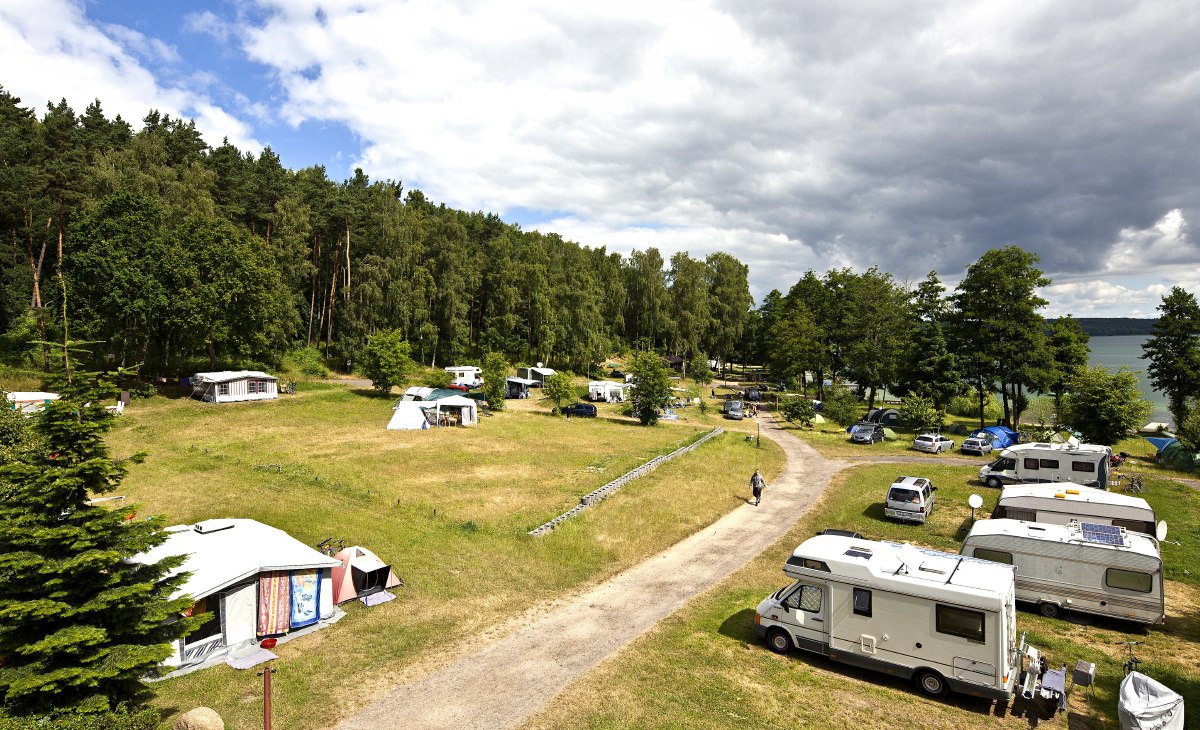 Nie można być bliżej natury, © Max Greiling