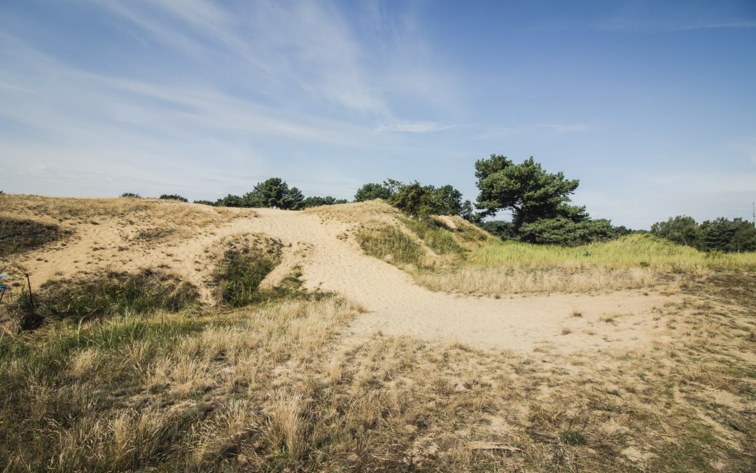 Wandelen door duinen Altwarp in het Natuurpark Am Stettiner Haff, © tvv/Philipp Schulz