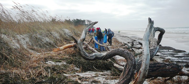 &copy; Nationalparkamt Vorpommern