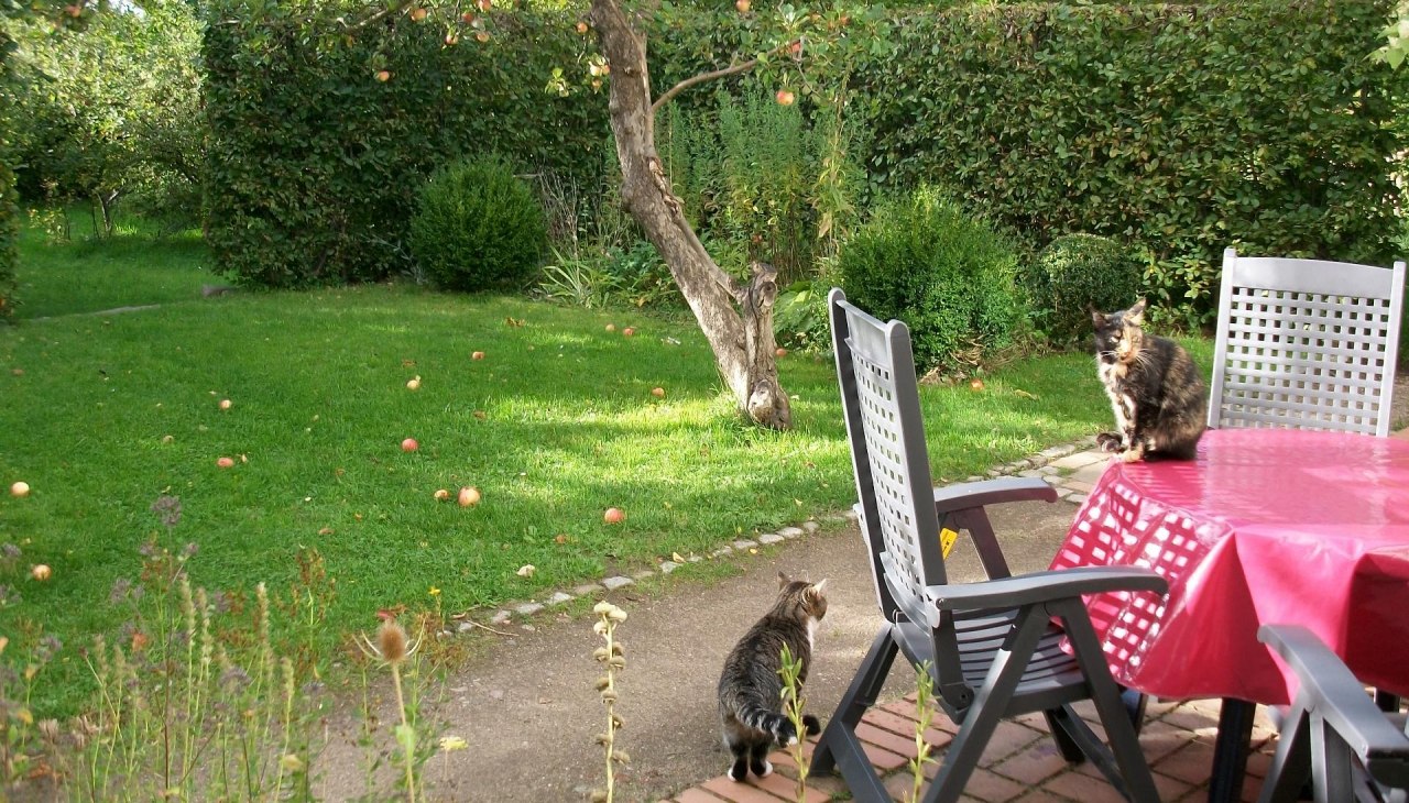 Ogród i część wypoczynkowa mieszkania wakacyjnego, © Heidegunde Voigtländer