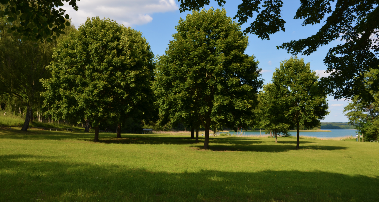 © Martin Möller © Martin Möller