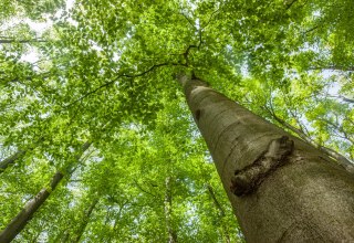 &copy; ZOYO - stock.adobe.com