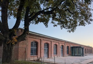 © Foto: H. Werner © Foto: H. Werner