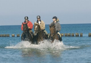 Een verfrissende rit door de Oostzee versterkt de gezondheid van ruiter en paard in gelijke mate., © Reitstall Stuthof