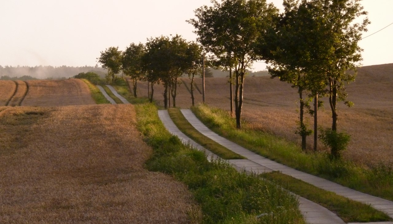Szwajcaria Meklemburska: Ścieżka w wieczornym słońcu, © Gutshaus Pohnstorf GbR Szwajcaria Meklemburska: Ścieżka w wieczornym słońcu, © Gutshaus Pohnstorf GbR