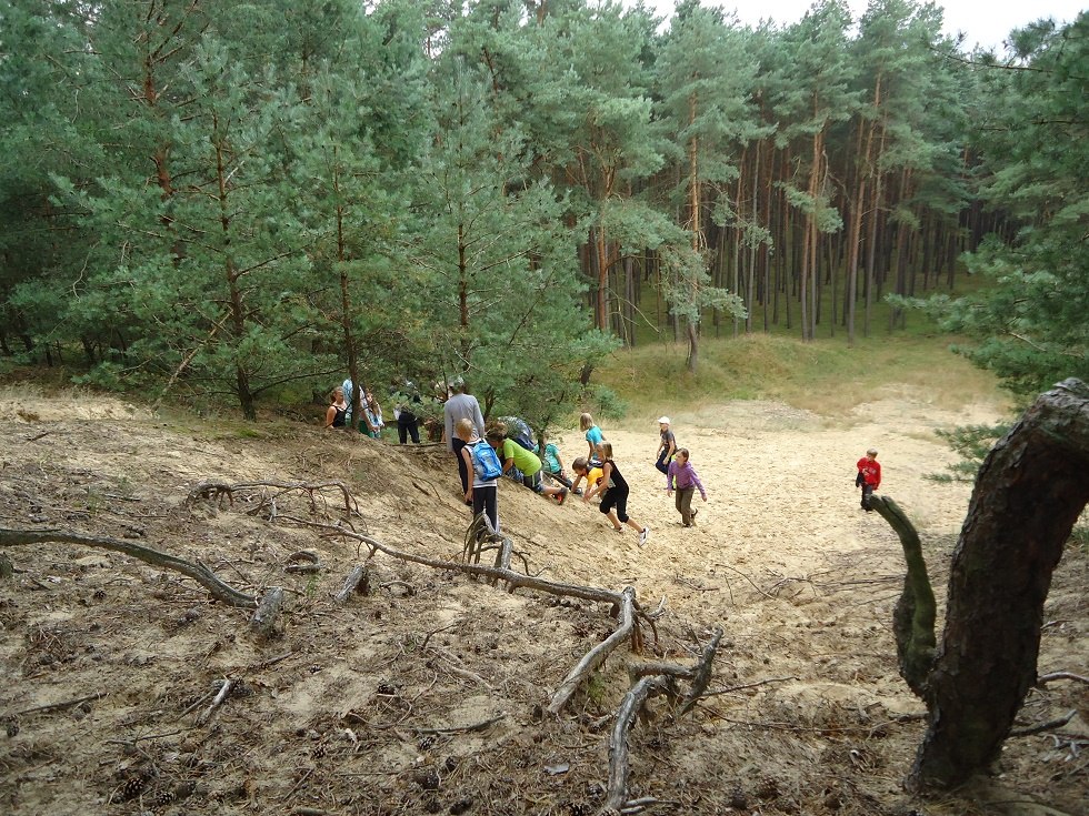 Poszukiwanie skarb&oacute;w na Kellerbergu. // &copy; Zebef e.V.