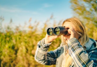 Birdwatching, nature, ornithology, © Südliche Boddenküste