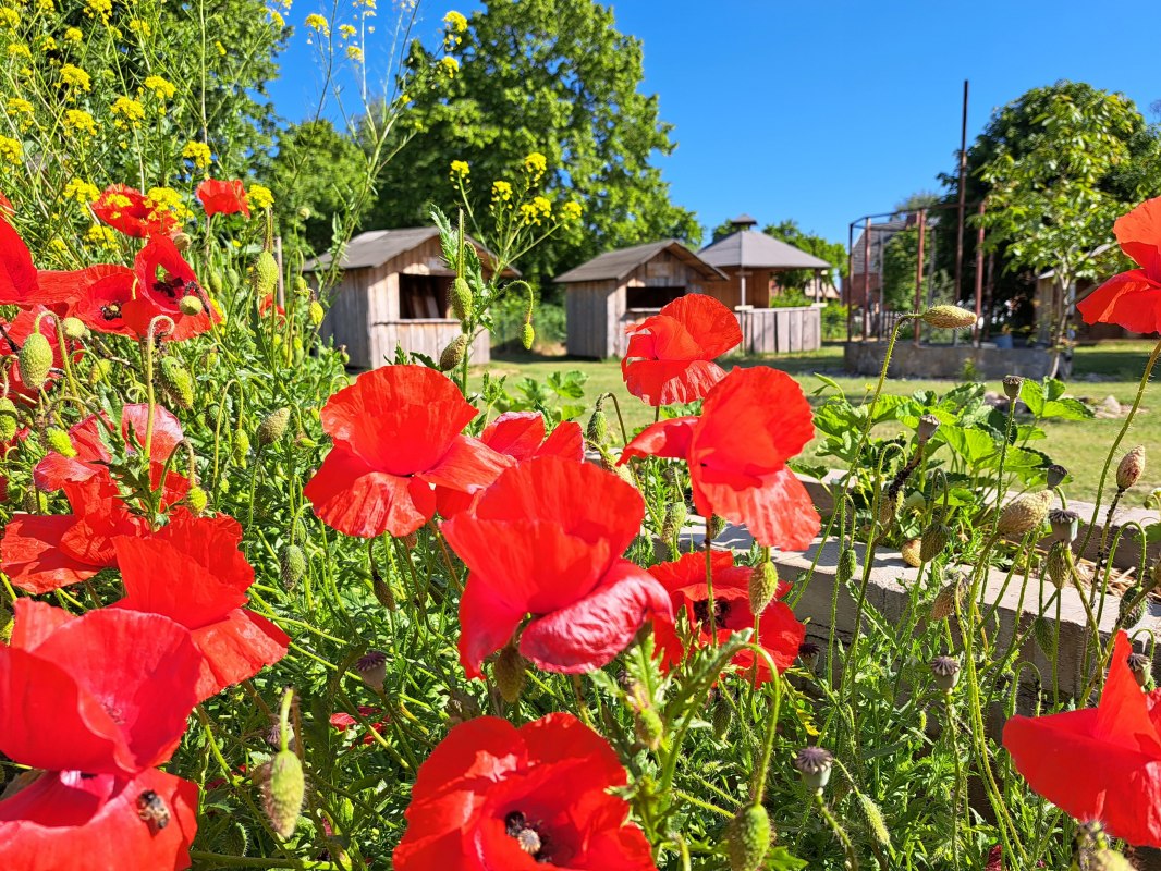 Uitzicht op de binnenplaats met de rustieke hutten, &copy; Sabrina Brodoch