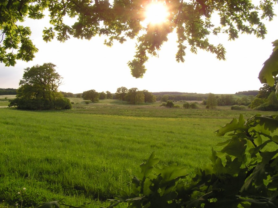 In the Recknitz valley near Liepen, &copy; Oliver Hellweg