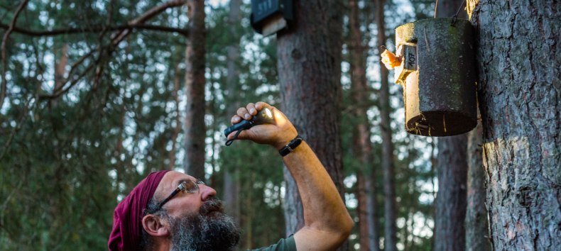 Nietoperzowa wędr&oacute;wka z wycieczką po Nossentiner Schwinzer Heide