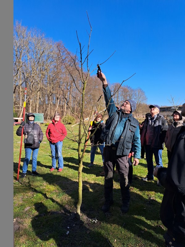 Thomas Franiel demonstrates how to prune fruit trees., &copy; Jan LIppke