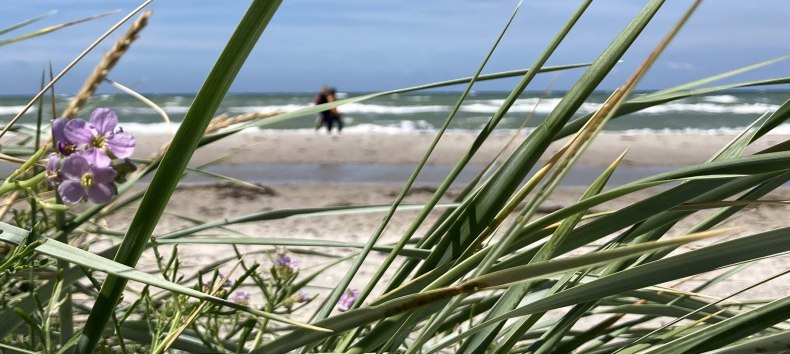 © Nationalparkamt Vorpommern © Nationalparkamt Vorpommern