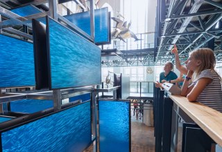 Przyśrodkowa ławica sardynek jest częścią instalacji wejściowej w MEERESMUSEUM, kt&oacute;rą można podziwiać z trzech pięter w g&oacute;rę., &copy; Anke Neumeister/Deutsches Meeresmuseum