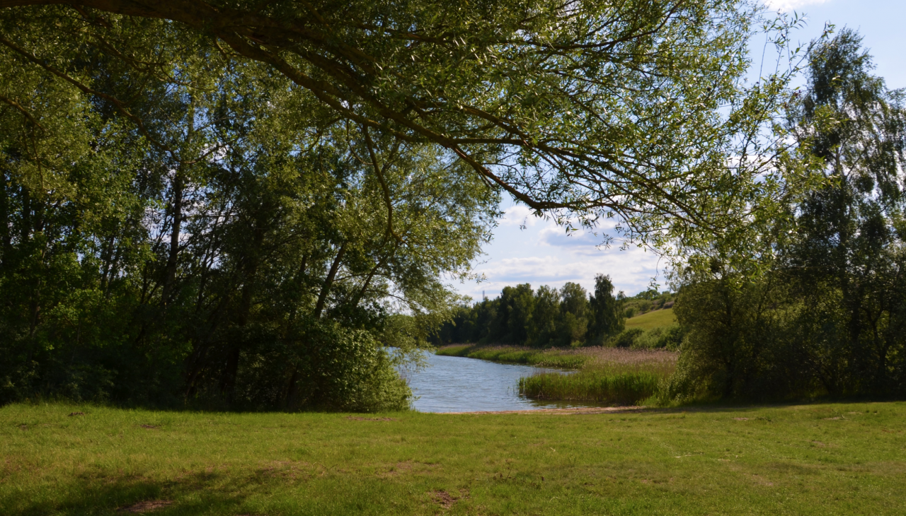 Cantnitz meer, badzone noordoever 4, © Martin Möller