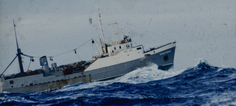 © @ Joachim Blumenthal © @ Joachim Blumenthal