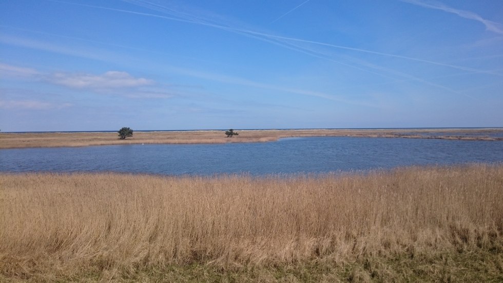 Uitzicht vanaf de observatietoren bij het Libbertmeer, © UB