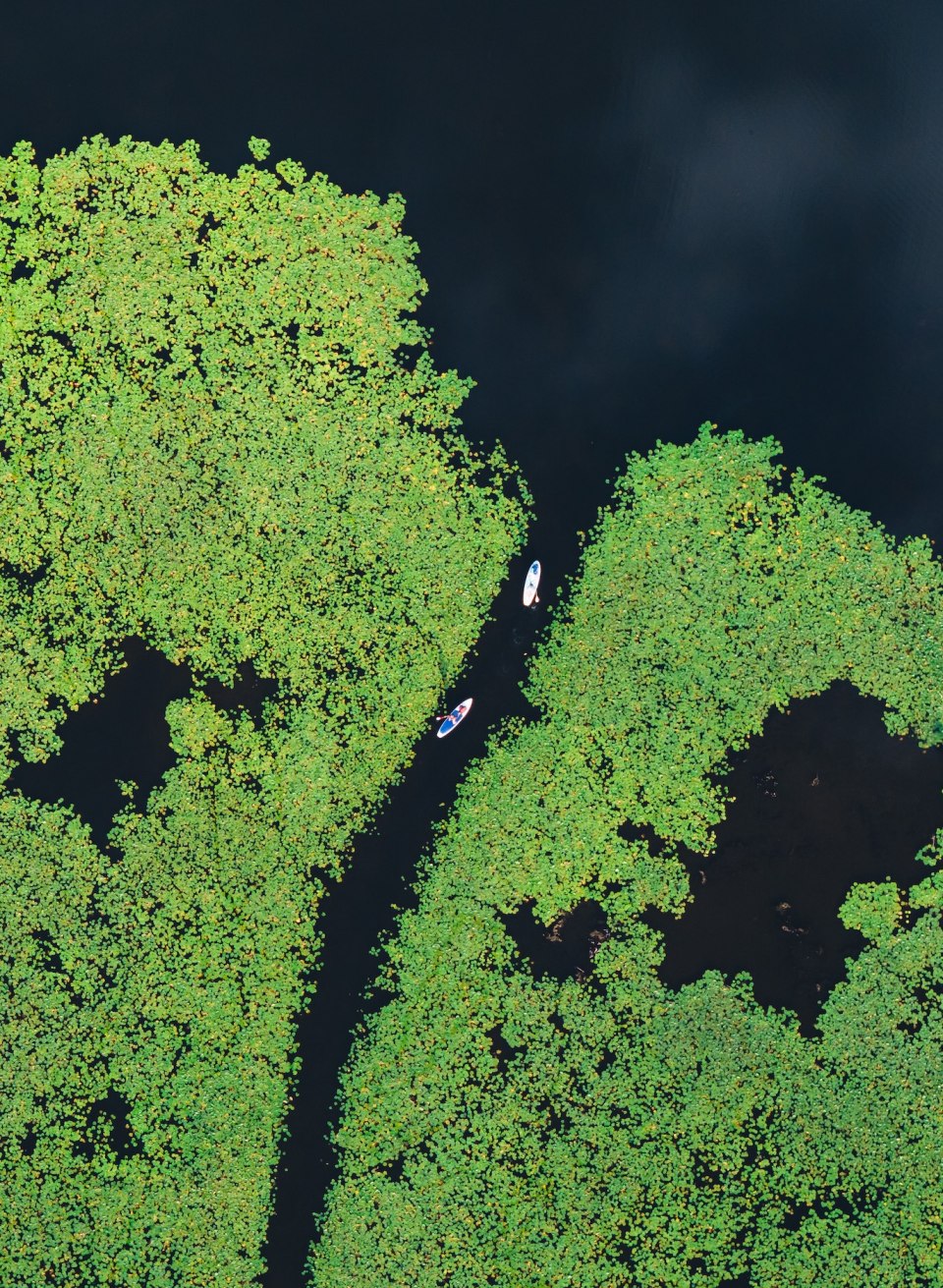 Smalle kanalen verbinden de verschillende meren van het Mecklenburgse merengebied tot een gigantisch netwerk van waterwegen!, © TMV/Gross