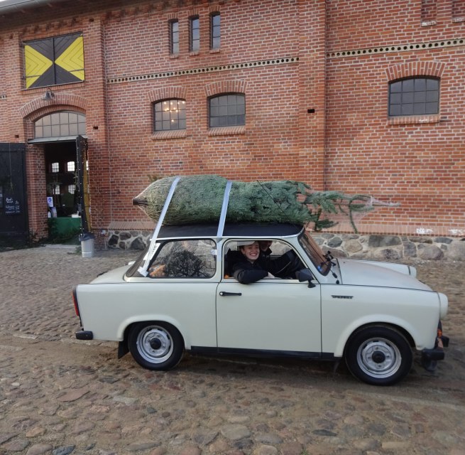 Für jeden die richtige Weihnachtsbaumgröße. // © Christian Schierning Für jeden die richtige Weihnachtsbaumgröße. // © Christian Schierning