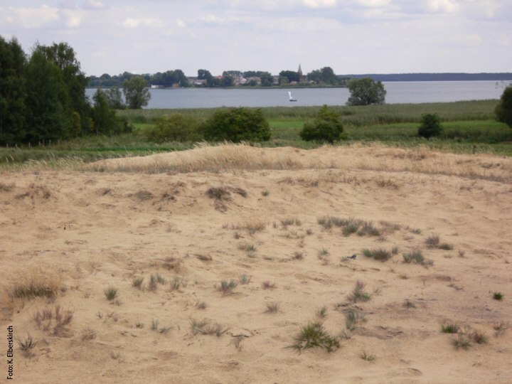 Wydma śródlądowa Altwarper - widok na Neuwarp, © Archiv Naturpark