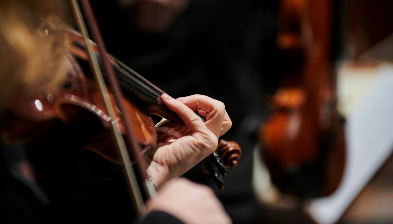 &copy; Mirco Dalchow