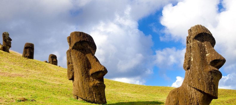 &copy; Umweltprojekte Nord e.V.