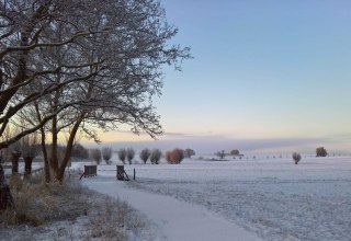 &copy; Evelin Kartheuser