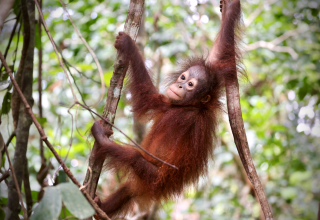 © Deutsche Naturfilmstiftung