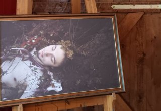 &copy; Amalie Schick