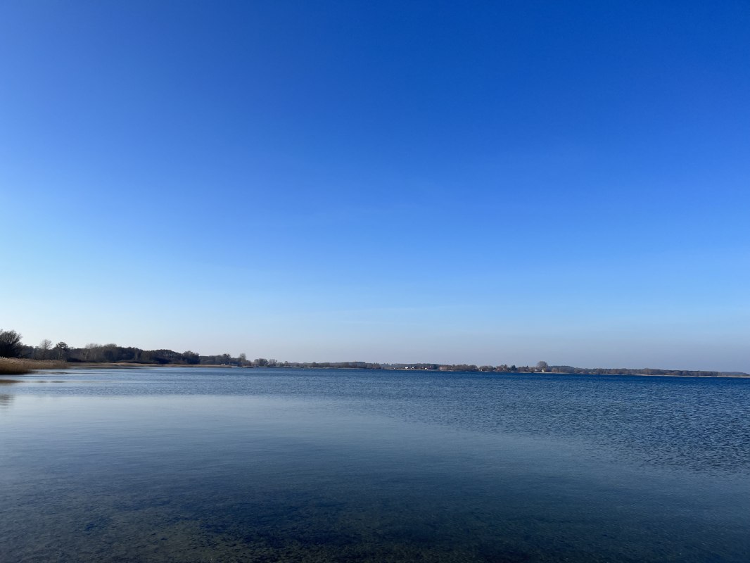 Mili dog beach, &copy; TDG Rechlin mbH