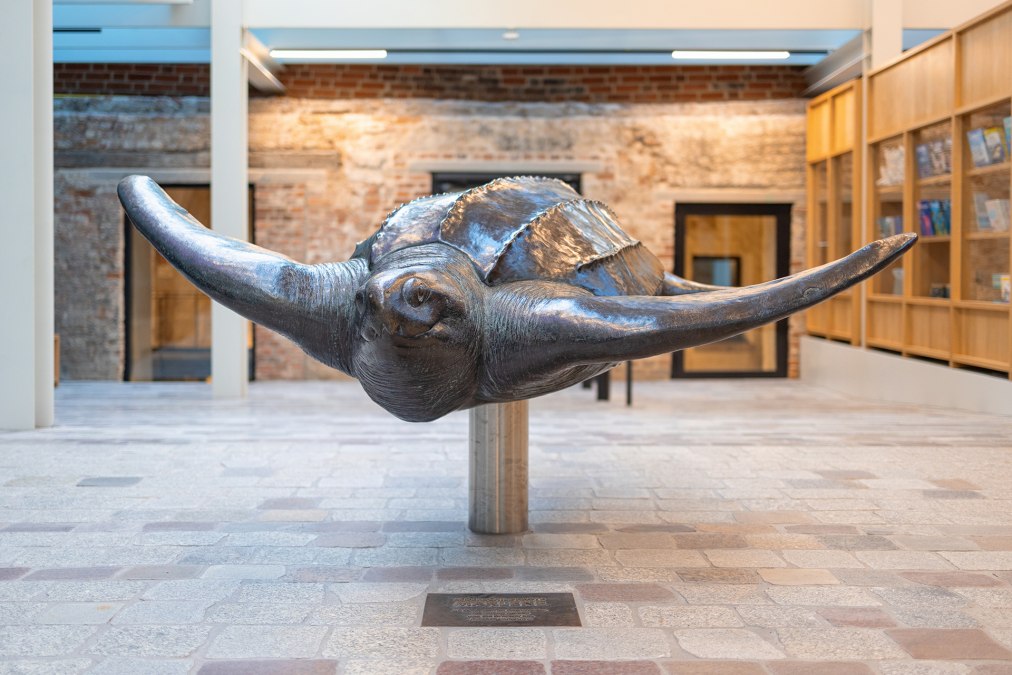 © Anke Neumeister/Deutsches Meeresmuseum
