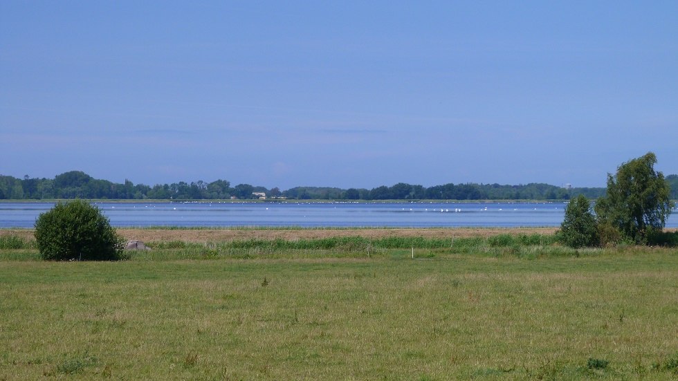 Uitzicht op de uitgestrektheid van het landschap van de Vorpommersche Bodden, © Ummanz-Information/Bordych Uitzicht op de uitgestrektheid van het landschap van de Vorpommersche Bodden, © Ummanz-Information/Bordych
