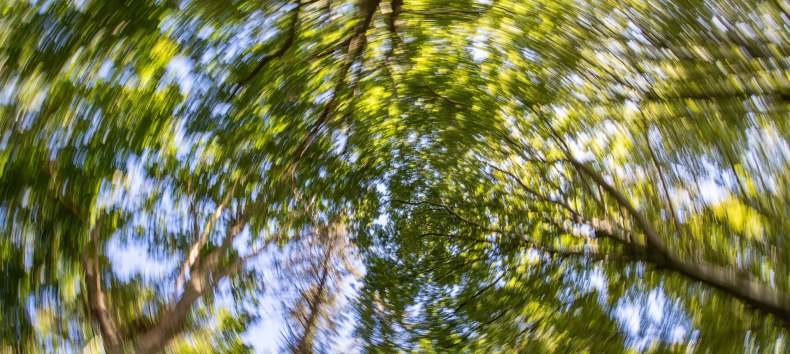 &copy; Kurverwaltung Goehren / Martin Stoever