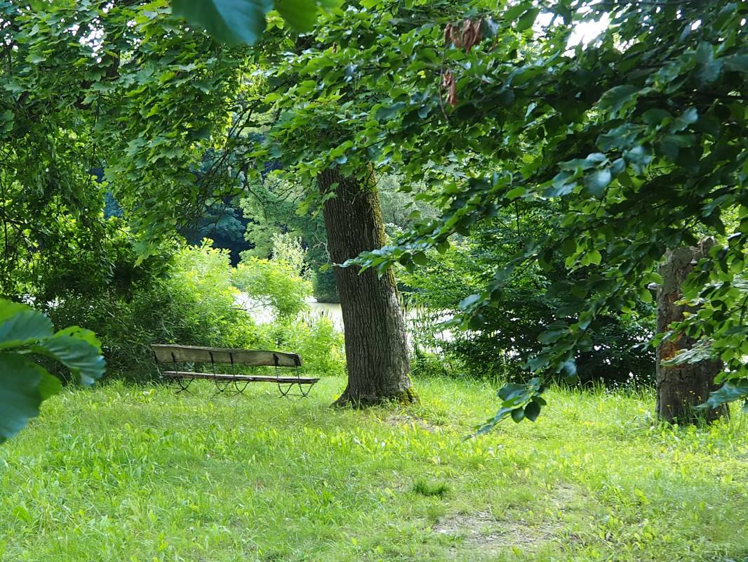 Im Schlosspark Semlow 3(c) Manuela Steimle, © Tourismusverein VR/Manuela Steimle Im Schlosspark Semlow 3(c) Manuela Steimle, © Tourismusverein VR/Manuela Steimle