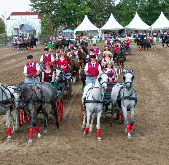 2-Spänner-Quadrille // © Gestüt Ganschow 2-Spänner-Quadrille // © Gestüt Ganschow