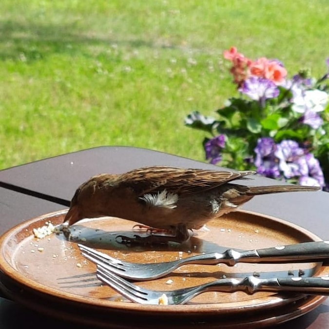 M&uuml;ritzhof, &copy; Waren (M&uuml;ritz)-Information