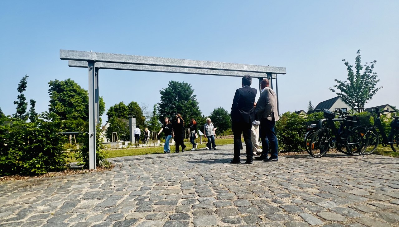 IMG_5422across, © TDG Rechlin IMG_5422across, © TDG Rechlin