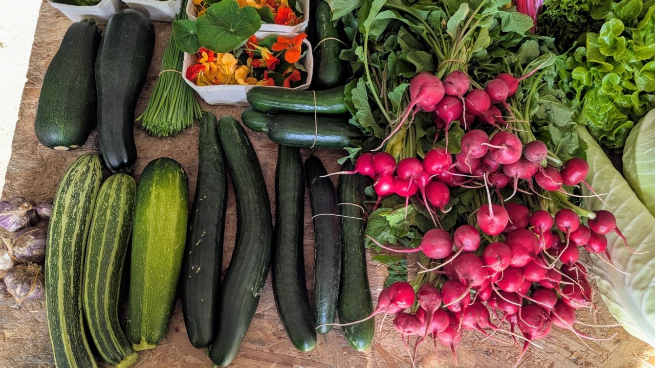 Vegetable selection // &copy; Solawi Stralsund