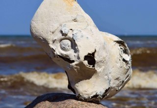 Stones on the Baltic Sea beach // &copy; GeoPark Nordisches Steinreich